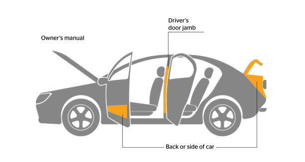 Where to find tire size Infographic showing parts of a car where you can find the tire size