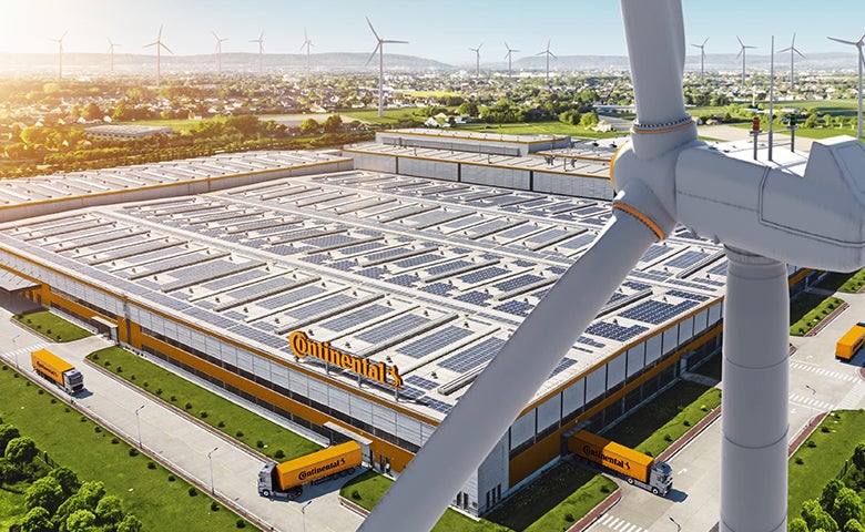 Sustainable future futuro sostenible