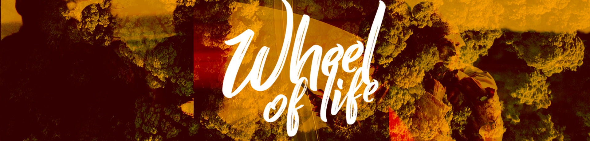 Descubre Wheel of Life:  la importancia que la movilidad sobre ruedas tiene para las personas en su vida.