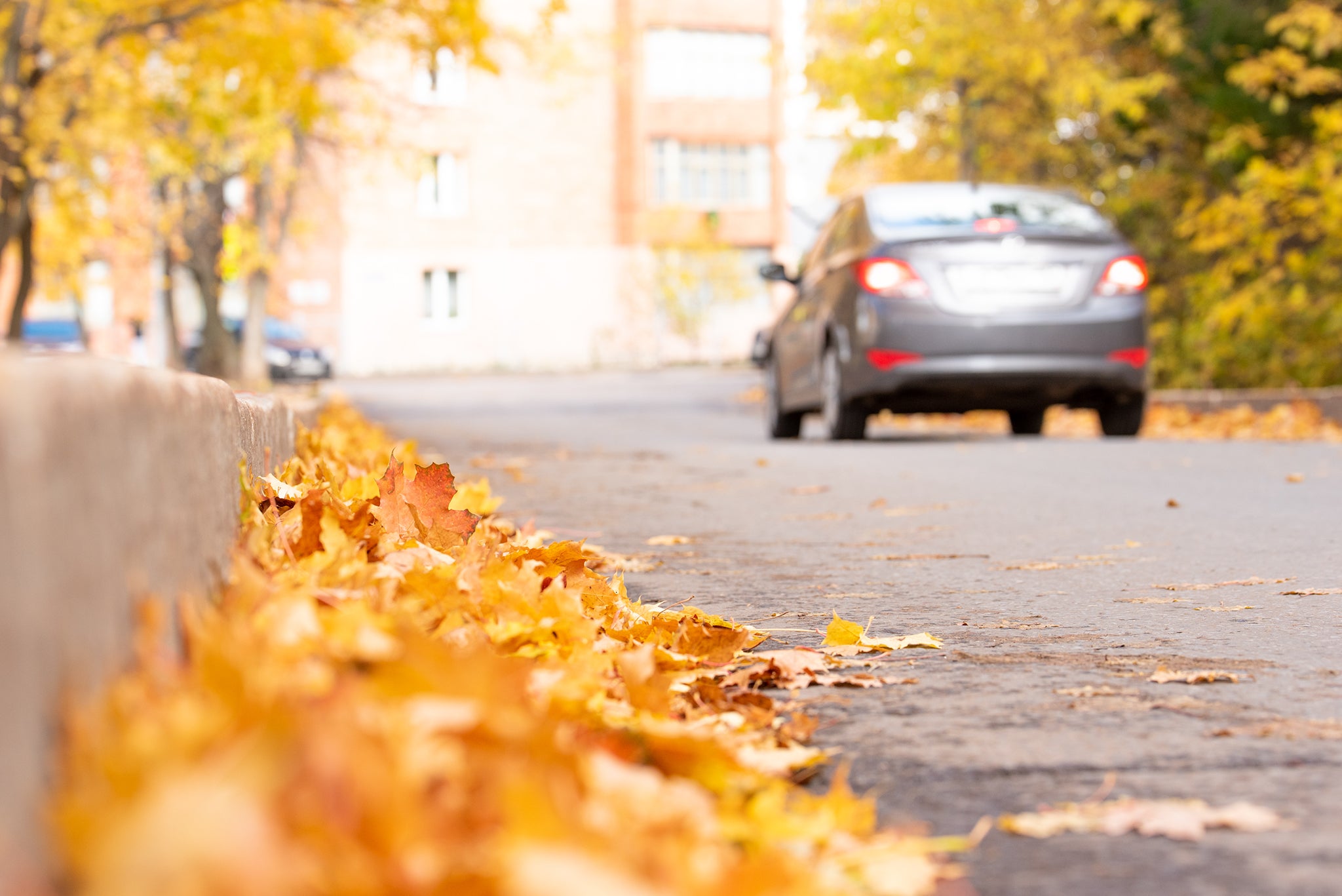 Car in Autumn