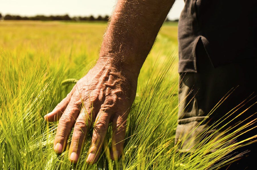 La tierra que se encuentra  bajo nuestros pies es el escenario en el que se desarrolla el ciclo de la vida. Proporciona alimento y cambia con el clima y las estaciones.