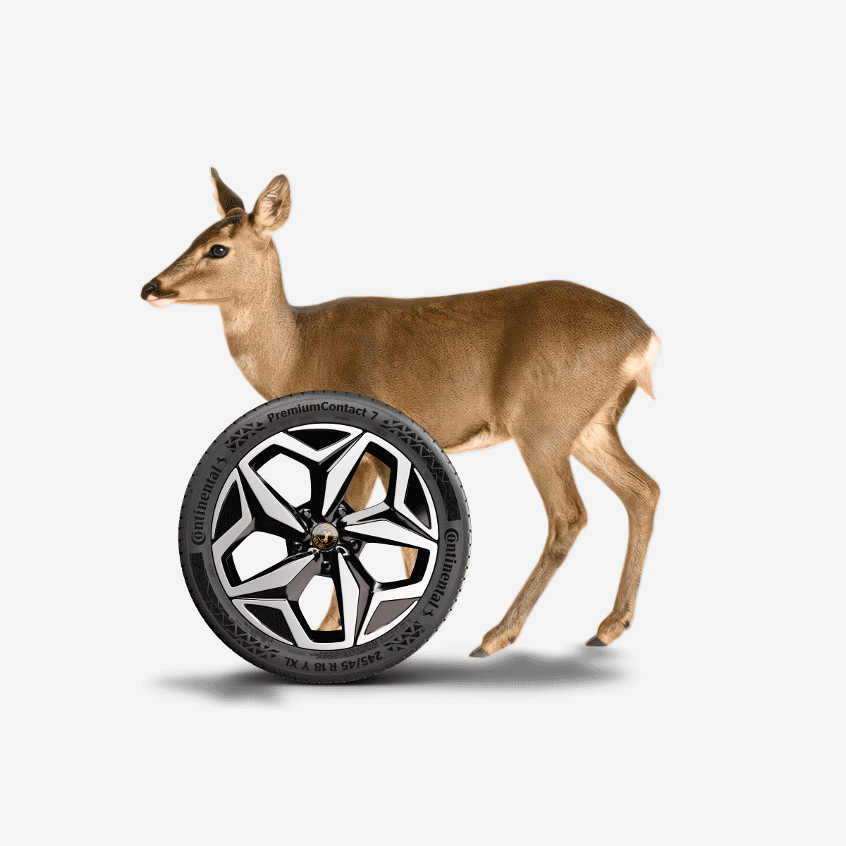 7_Premium_Tyres_Promise_FFF_Summer.gif