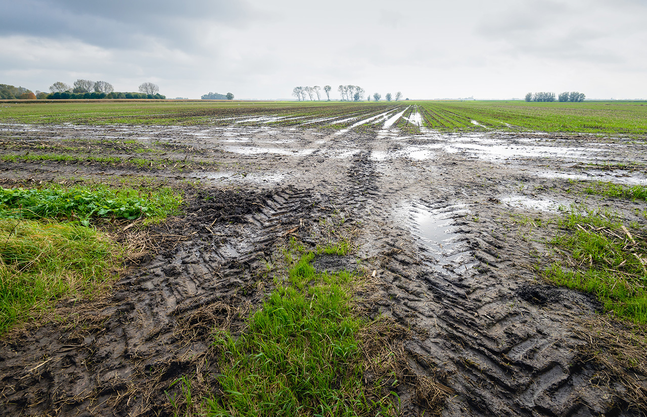 Se advierte a los agricultores que deben tener cuidado con el suelo húmedo