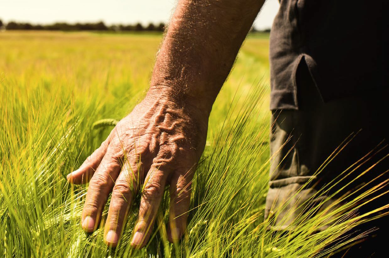 La tierra que se encuentra bajo nuestros pies es el escenario en el que se desarrolla el ciclo de la vida. Proporciona alimento y cambia con el clima y las estaciones.
